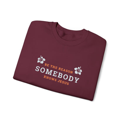Be The Reason Somebody Knows Jesus™ Embroidery Crewneck Sweatshirt