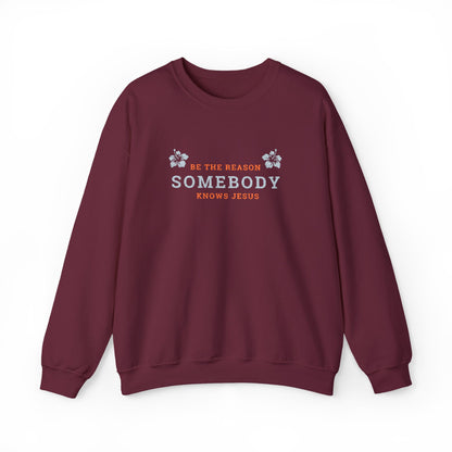 Be The Reason Somebody Knows Jesus™ Embroidery Crewneck Sweatshirt