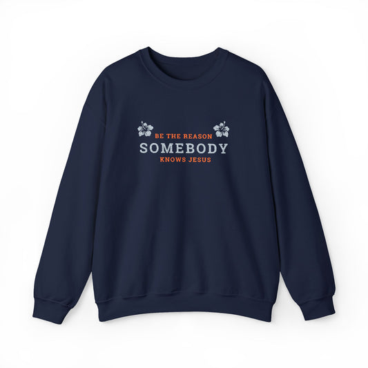 Be The Reason Somebody Knows Jesus™ Embroidery Crewneck Sweatshirt