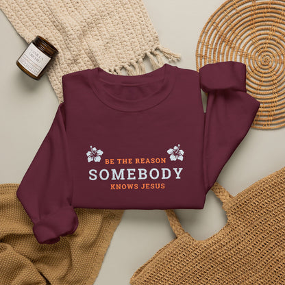 Be The Reason Somebody Knows Jesus™ Embroidery Crewneck Sweatshirt