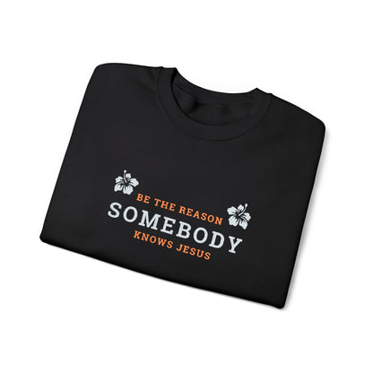 Be The Reason Somebody Knows Jesus™ Embroidery Crewneck Sweatshirt