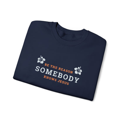 Be The Reason Somebody Knows Jesus™ Embroidery Crewneck Sweatshirt