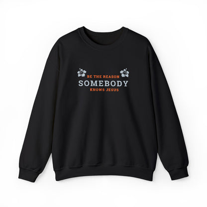 Be The Reason Somebody Knows Jesus™ Embroidery Crewneck Sweatshirt